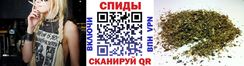 магазин    Сафоново  omg ссылки  Бутират BDO 