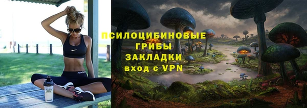 дмт Абаза