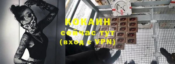 сатива Абдулино