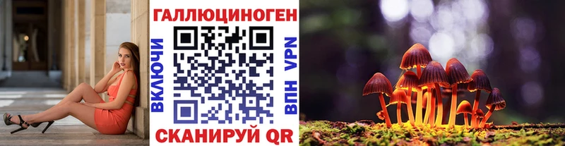 Галлюциногенные грибы Cubensis  маркетплейс формула  Сафоново 