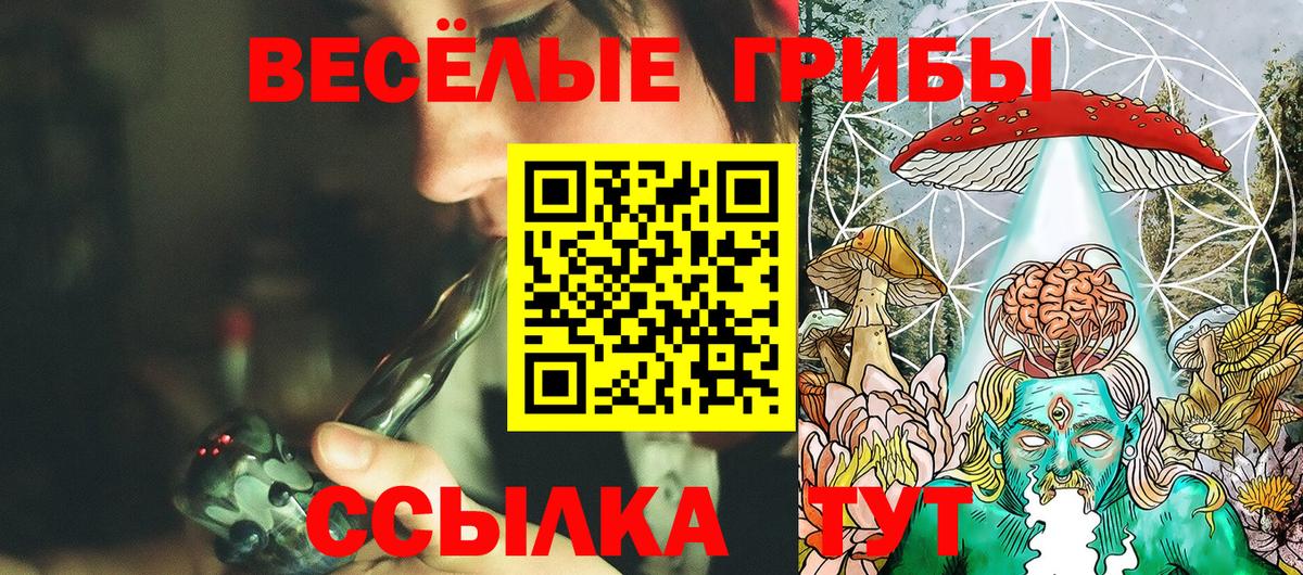 Псилоцибиновые грибы GOLDEN TEACHER Сафоново